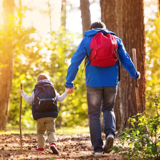 c6e01949-e6f9-4a5c-9fea-d18169546367