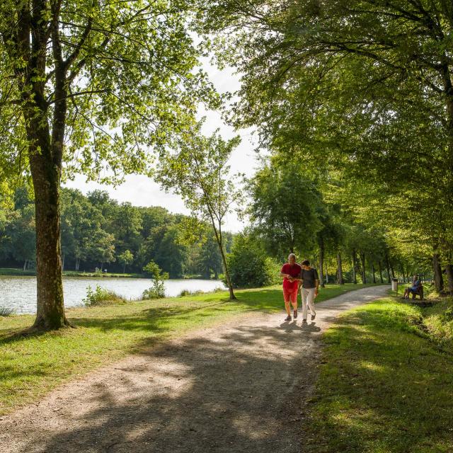 Couple en balade aux Lacs de la Folie Contrexéville