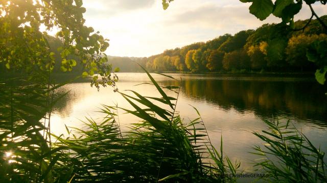 Christelle Gerard Aan Lac De Contrexeville Vogezen Op Miss Konfidentielle Christelle Gerard