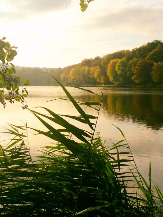 Christelle Gerard At Lake Contrexeville Vosges On Miss Konfidentielle Christelle Gerard