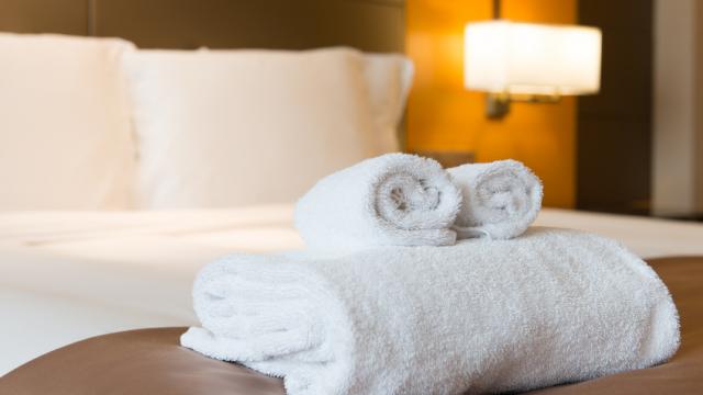 Luxury hotel bedroom