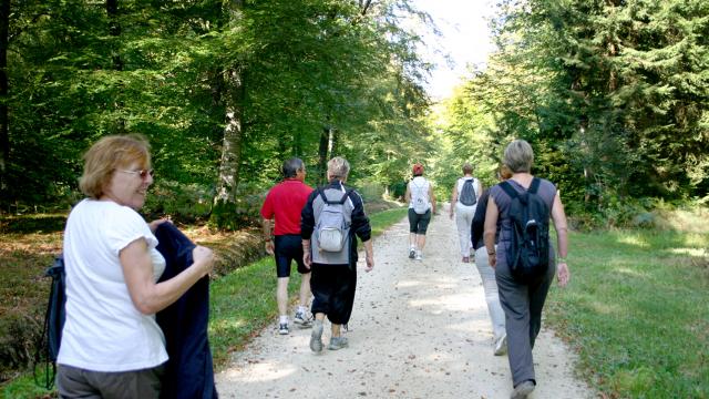 Hiking © Toucan Toucan