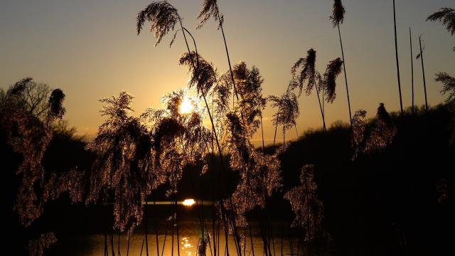 Zonsondergang over de Lacs De La Folie maart 2022 ©j Pierre Fournier