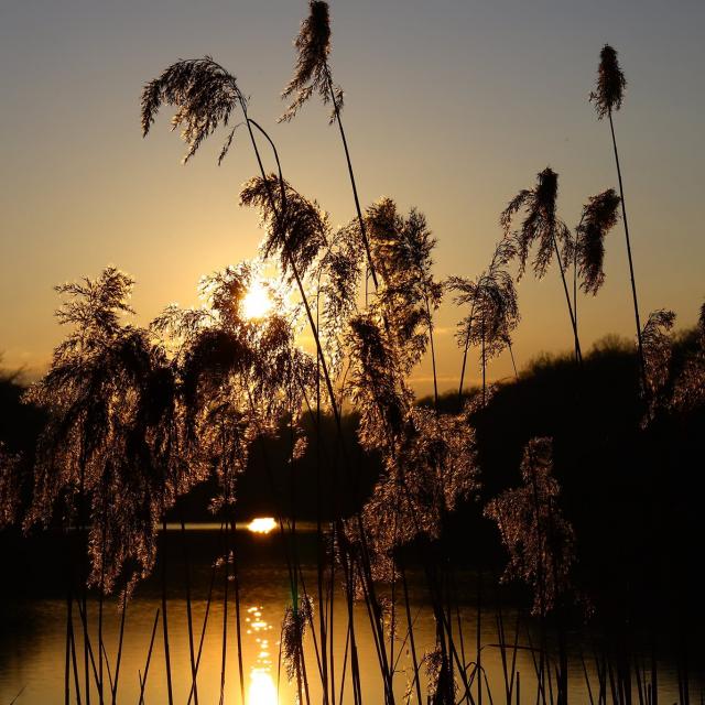 Sunset On The Lakes Of La Folie March 2022 ©j Pierre Fournier