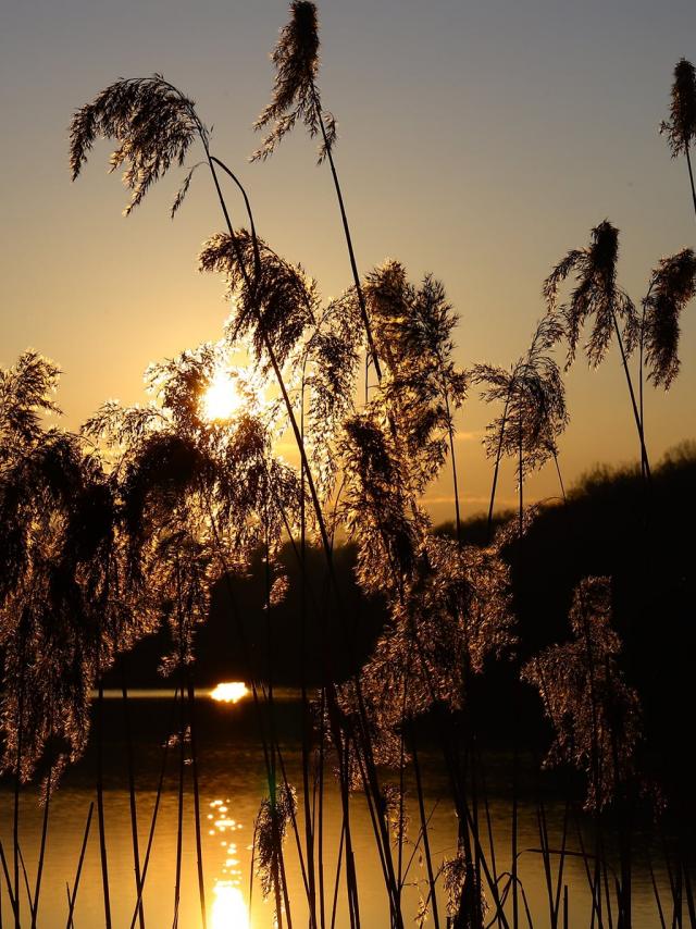 Zonsondergang over de Lacs De La Folie maart 2022 ©j Pierre Fournier