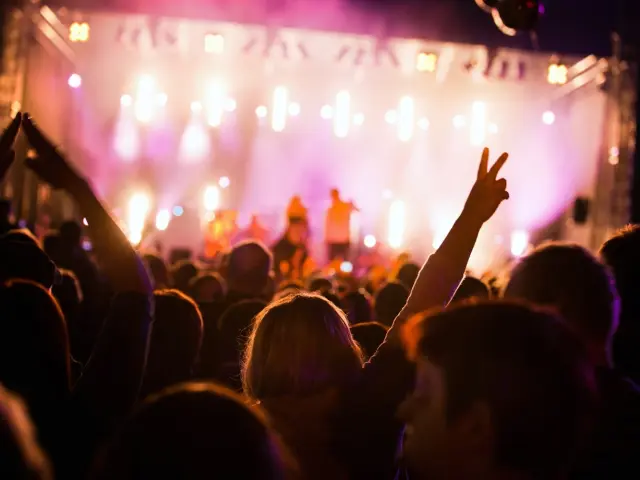 Foule dans une salle de concert