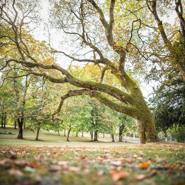 Thermal Park©freepik
