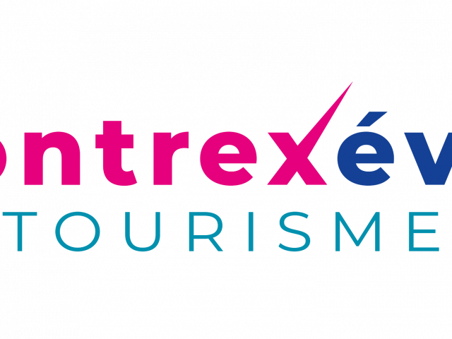 DV_logo final quadri