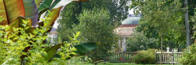 Parc Thermal de Contrexéville où l'on aperçoit la rotonde derrière les arbres