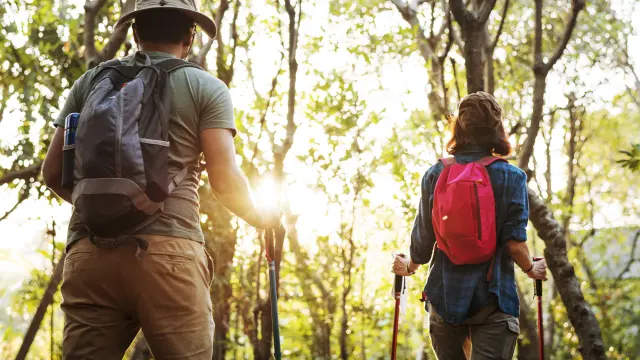 Couple de randonneurs en forêt