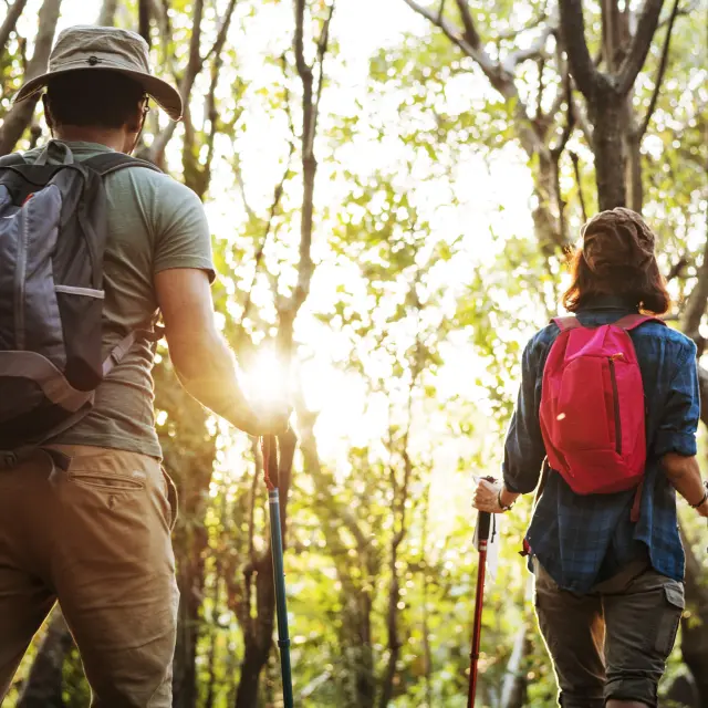 Couple de randonneurs en forêt
